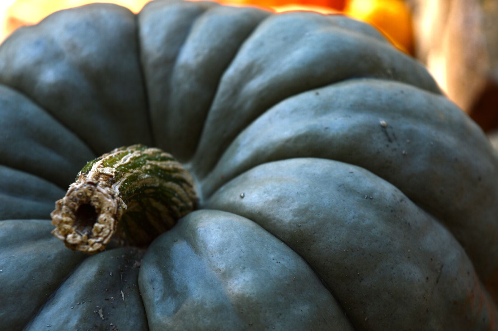 Nikon D3200 sample photo. Pumpkins, october, autumn photography