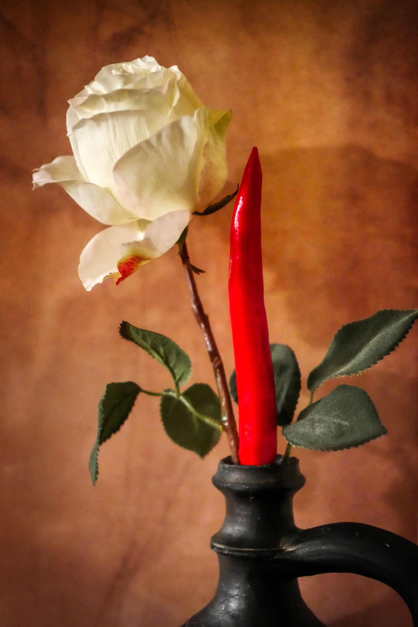 Panasonic Lumix DMC-GX8 sample photo. Rose, flower, paprika photography