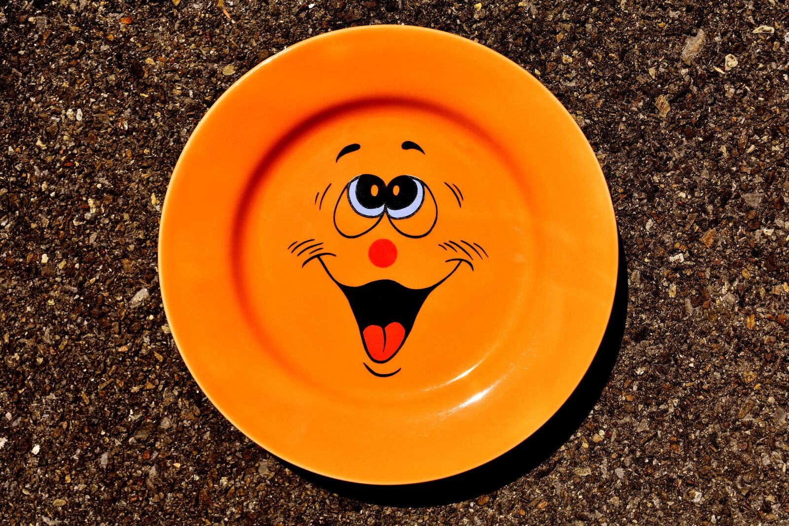 Nikon D7200 sample photo. Plate, tableware, smiley photography