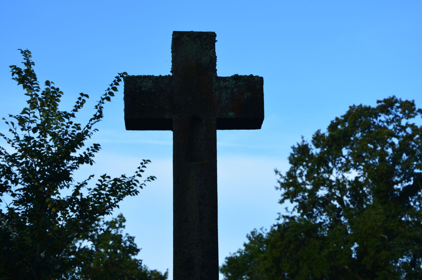 Nikon D5200 sample photo. Against day, photo against photography