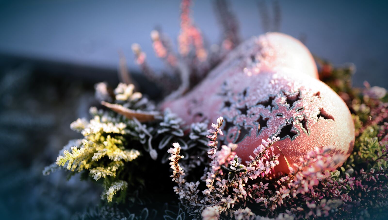Nikon D610 sample photo. Grave, heart, grabschmuck photography