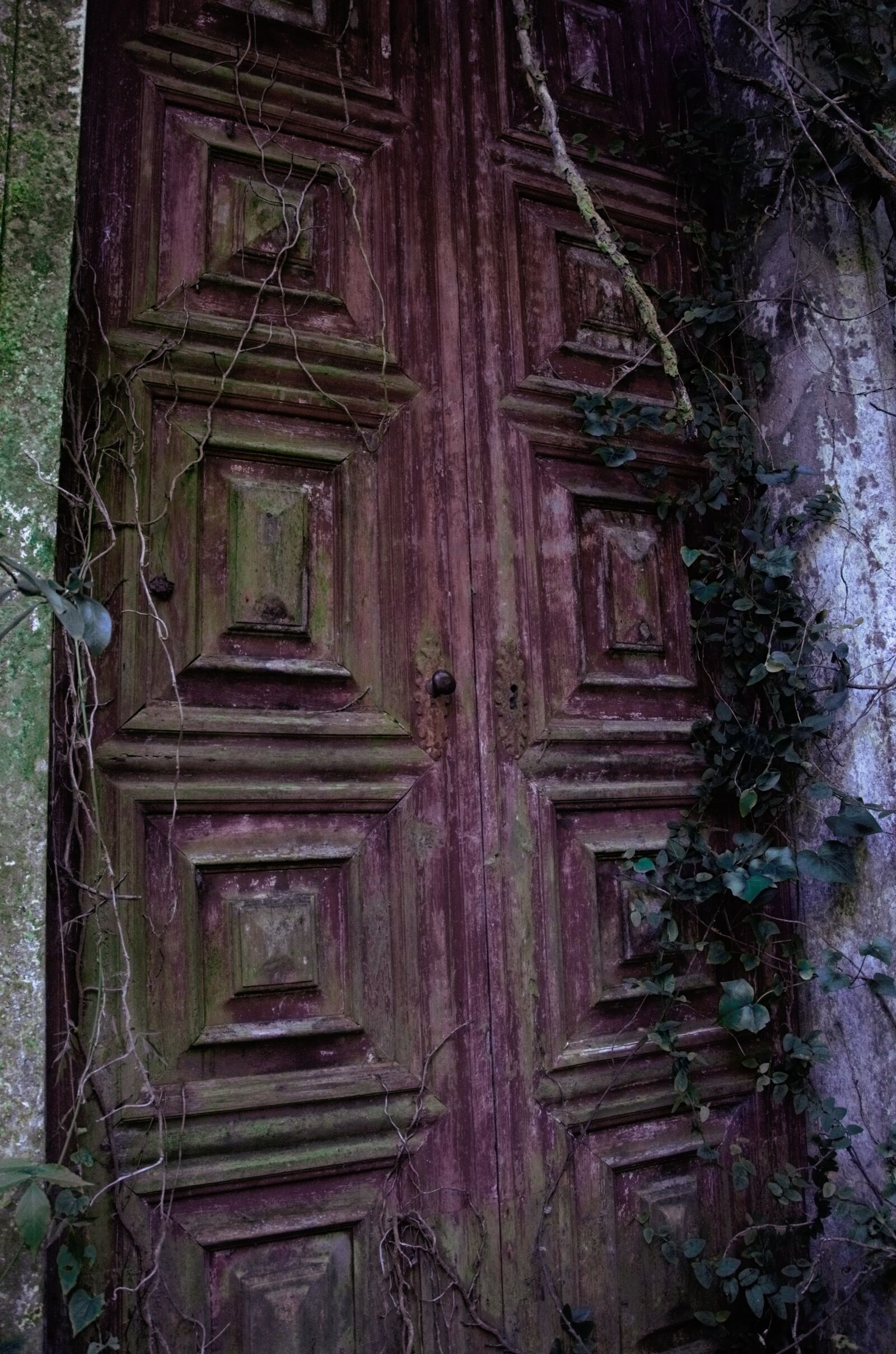 Nikon D5100 sample photo. Door, ruins, abandoned photography
