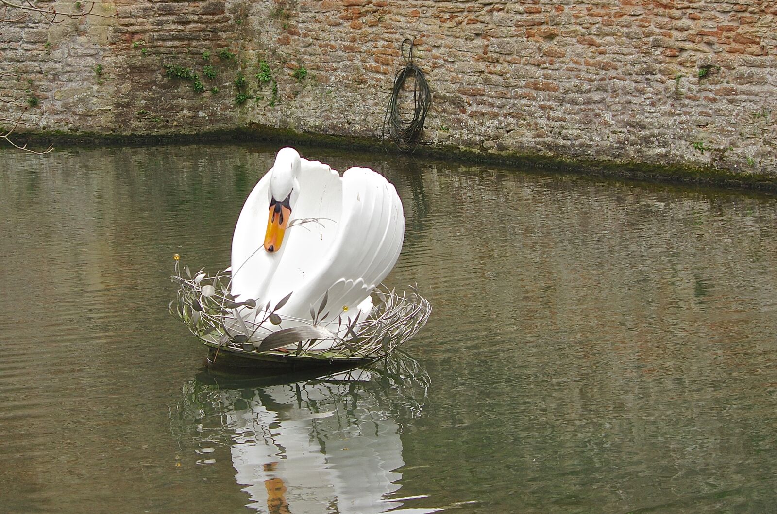 Pentax K-5 sample photo. Swan, water, nature photography