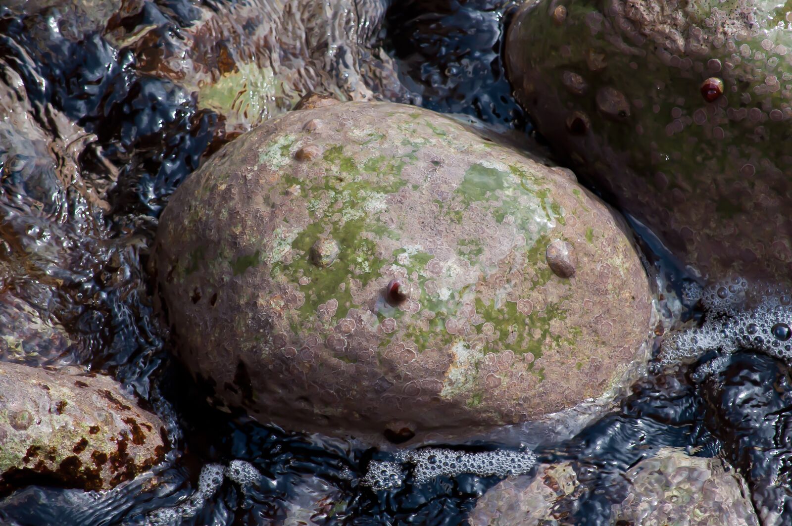 Nikon D90 sample photo. Stone, water, sea photography