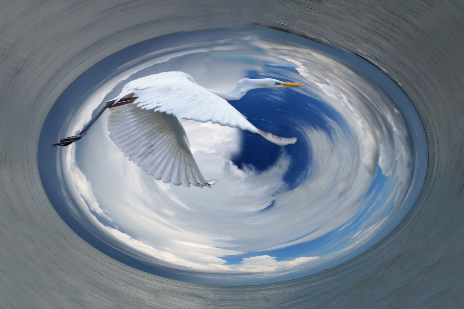 Canon EOS 1100D (EOS Rebel T3 / EOS Kiss X50) sample photo. Heron, bird, nature photography