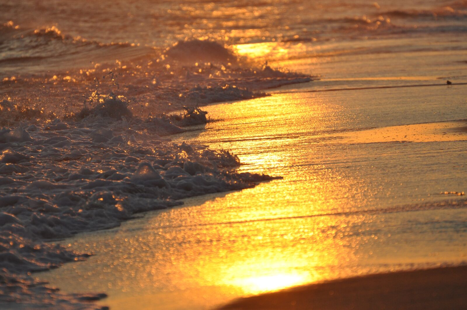 Nikon D5000 sample photo. Beach, sunset, ocean photography