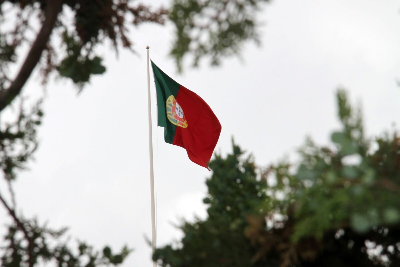 Canon EOS 7D sample photo. Flag, portugal, the corners photography