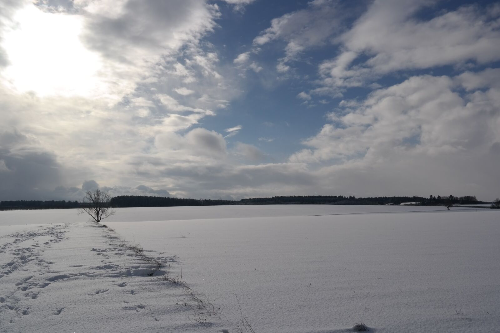 Samsung NX300M sample photo. Winter, snow, wintry photography