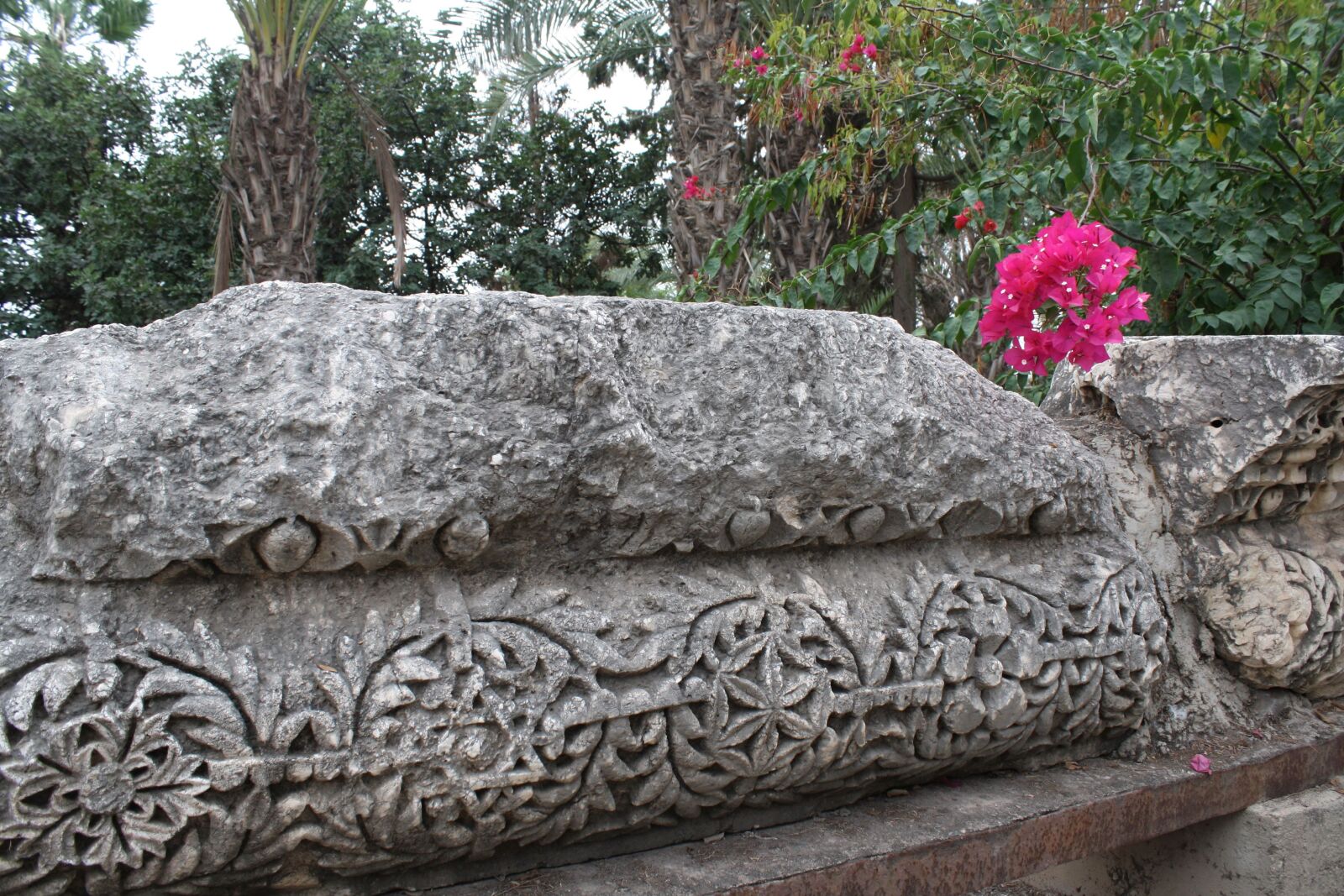 Canon EOS 1000D (EOS Digital Rebel XS / EOS Kiss F) sample photo. Capernum, israel, carving photography