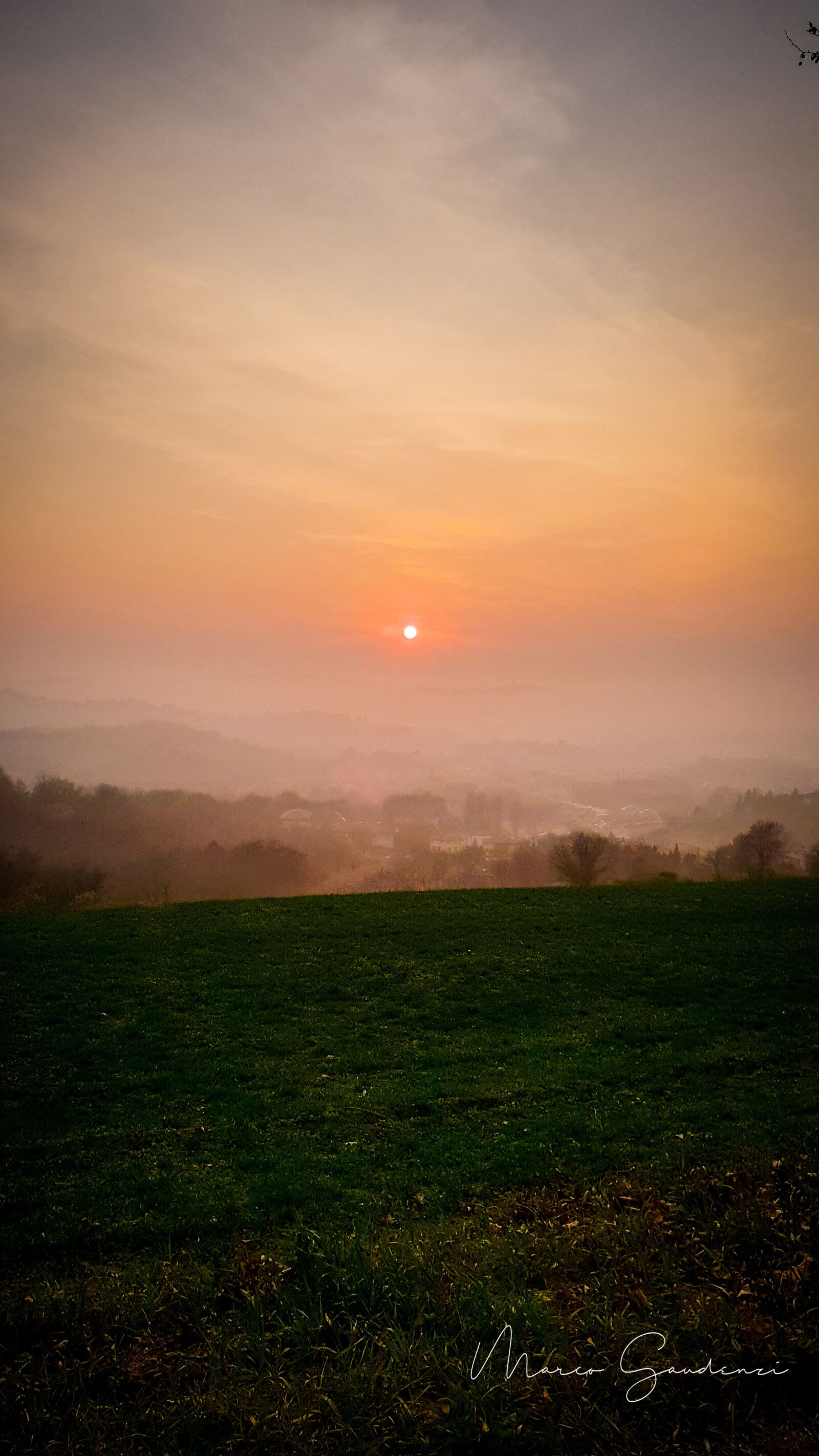 Samsung Galaxy S9+ sample photo. Sunset, green, nature photography