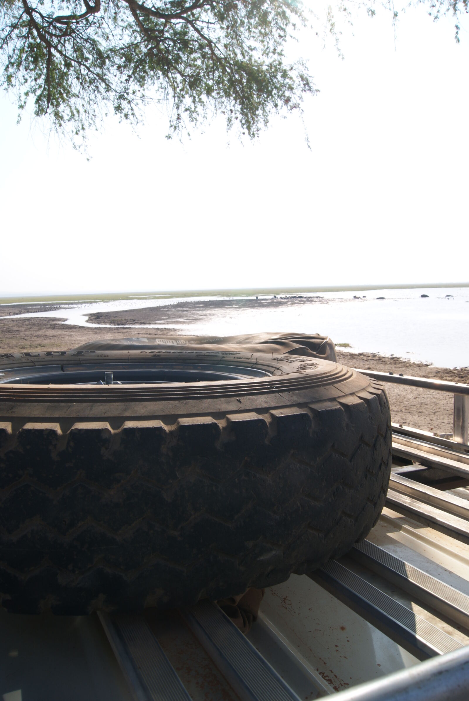 Sony Alpha DSLR-A230 sample photo. Car, lake, rooftop, safari photography
