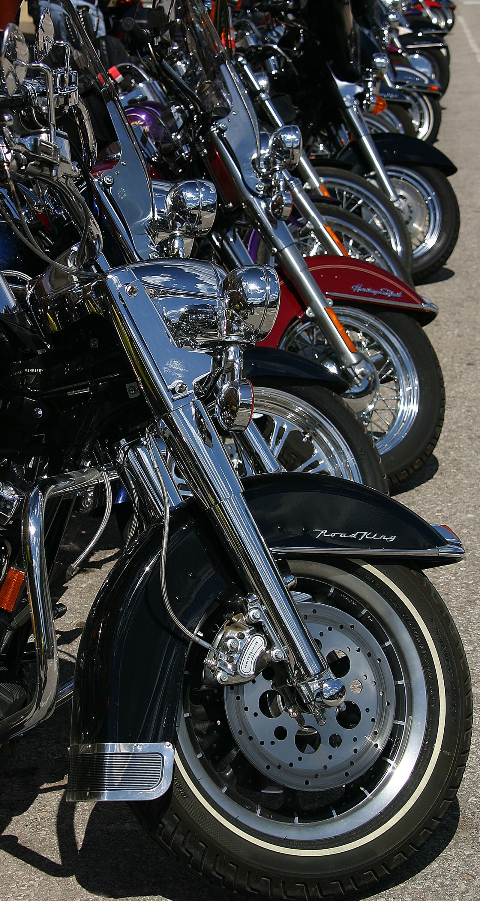 Canon EOS 300D (EOS Digital Rebel / EOS Kiss Digital) sample photo. Harley, chopper, motorcycle photography