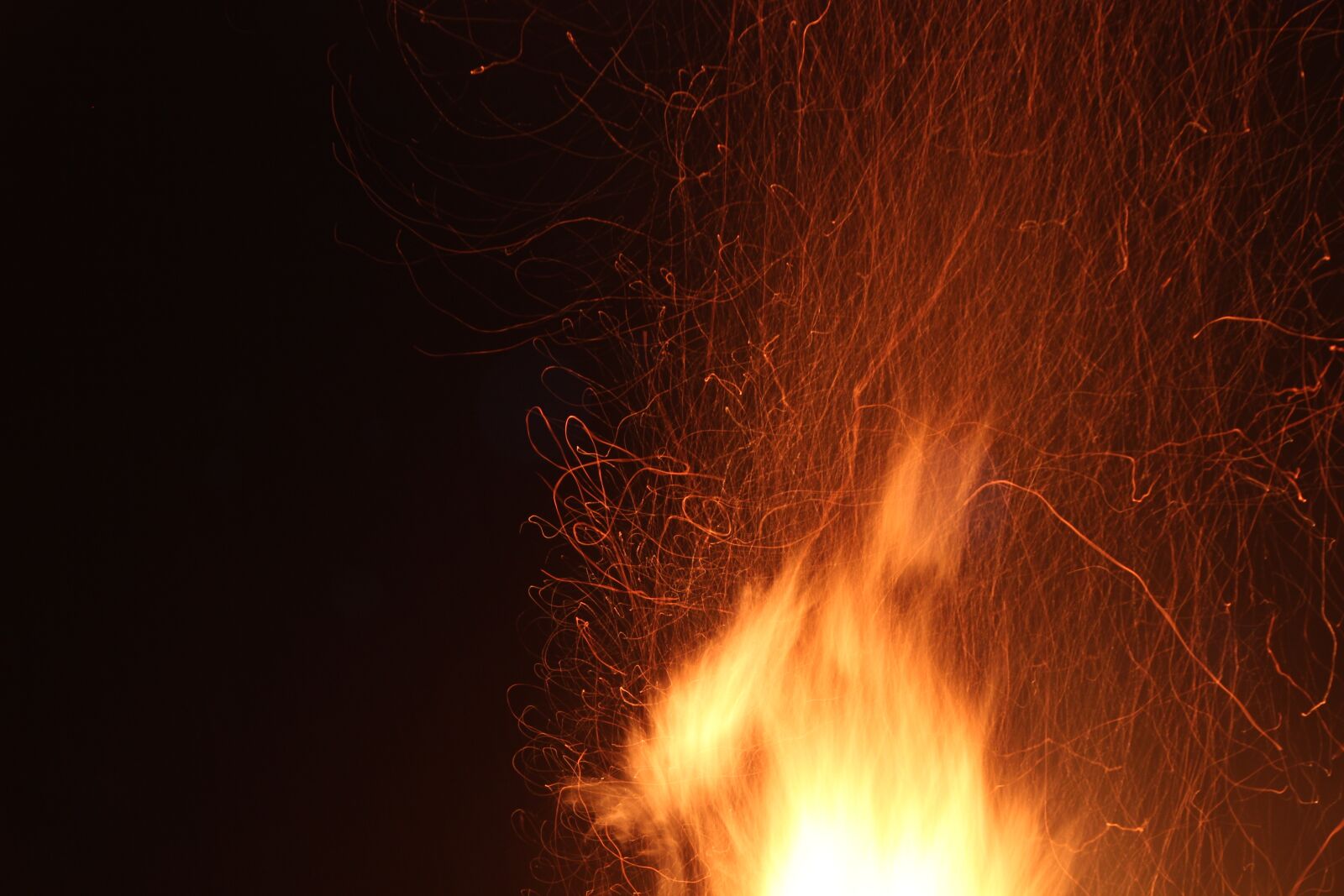Canon EOS 600D (Rebel EOS T3i / EOS Kiss X5) sample photo. Fire, martin fire, radio photography