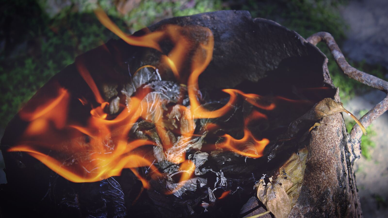 Canon EOS 600D (Rebel EOS T3i / EOS Kiss X5) sample photo. Fire, flame, wood photography