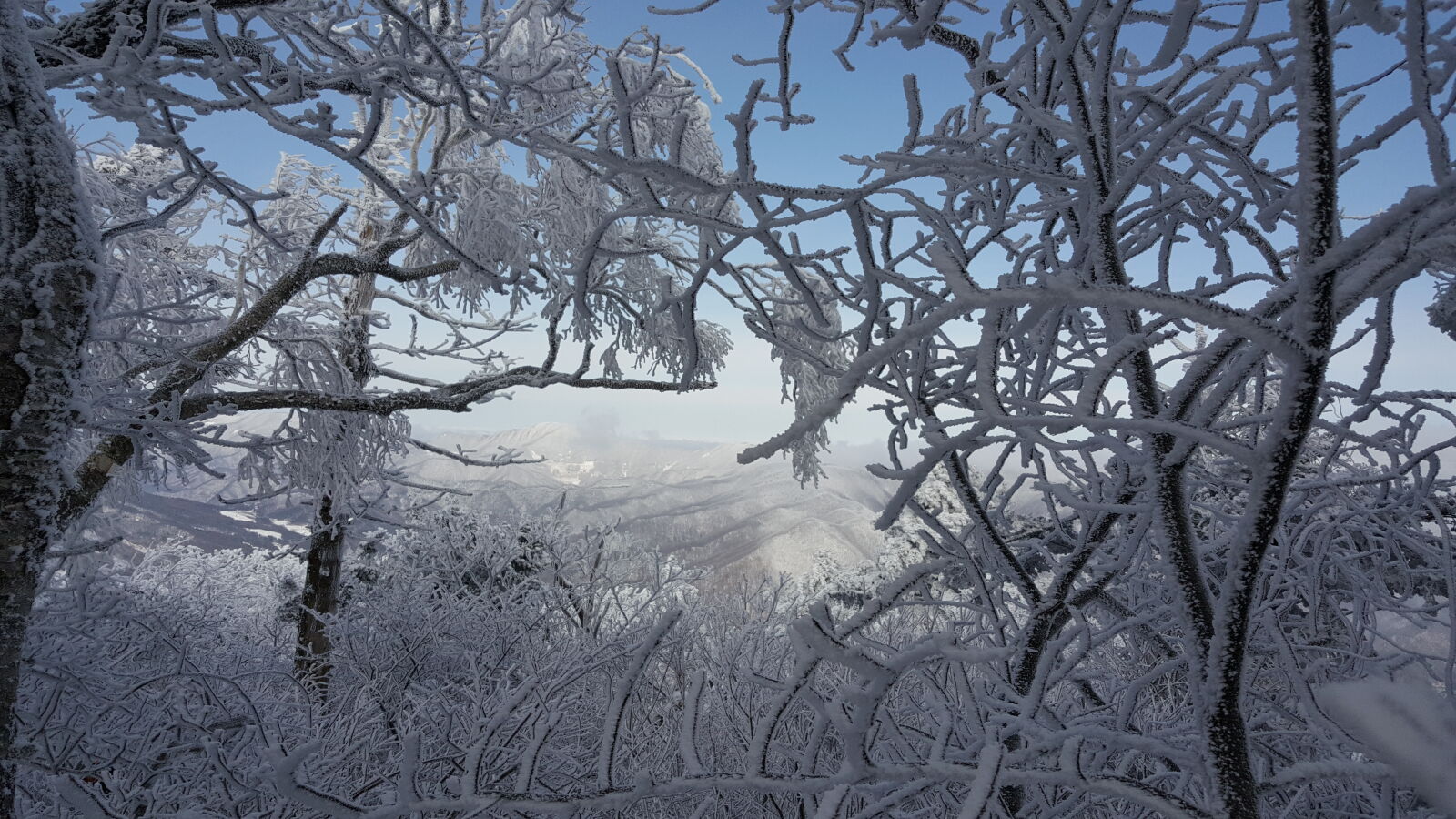 Samsung Galaxy Note5 sample photo. Korea, mountain, taebaeksan, winter photography