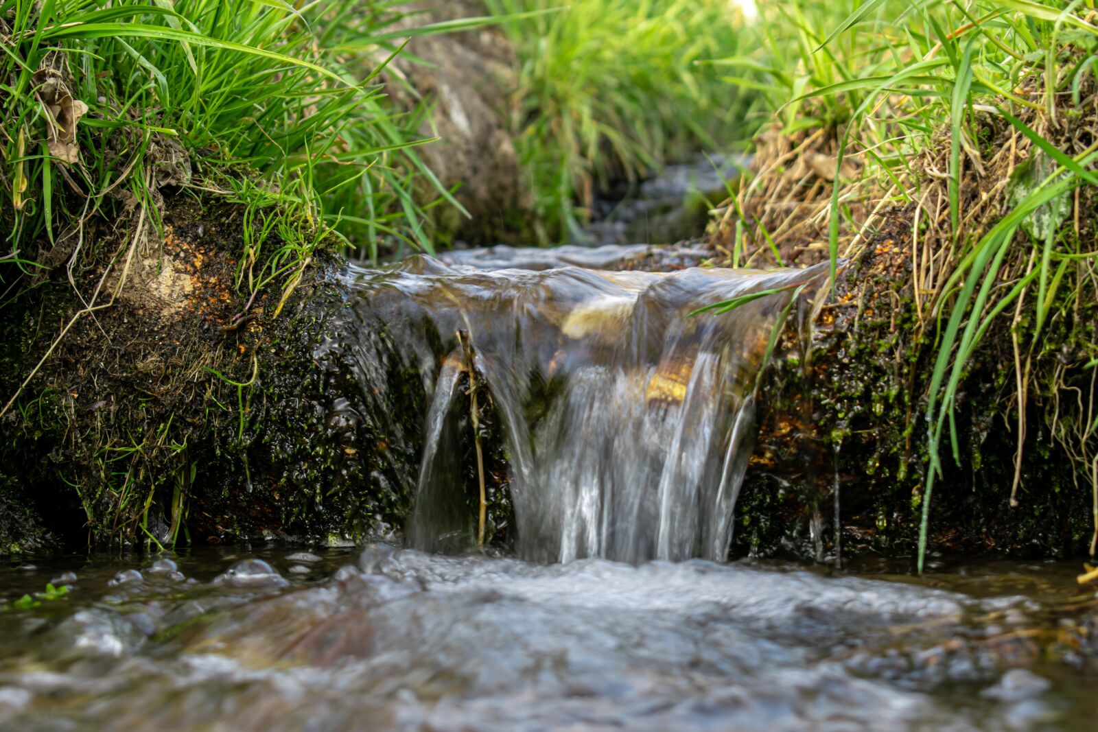 Nikon D5300 sample photo. Bach, waters, waterfall photography