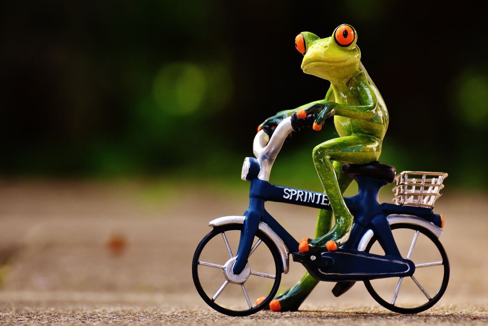 Nikon D7200 sample photo. Frog, bike, funny photography