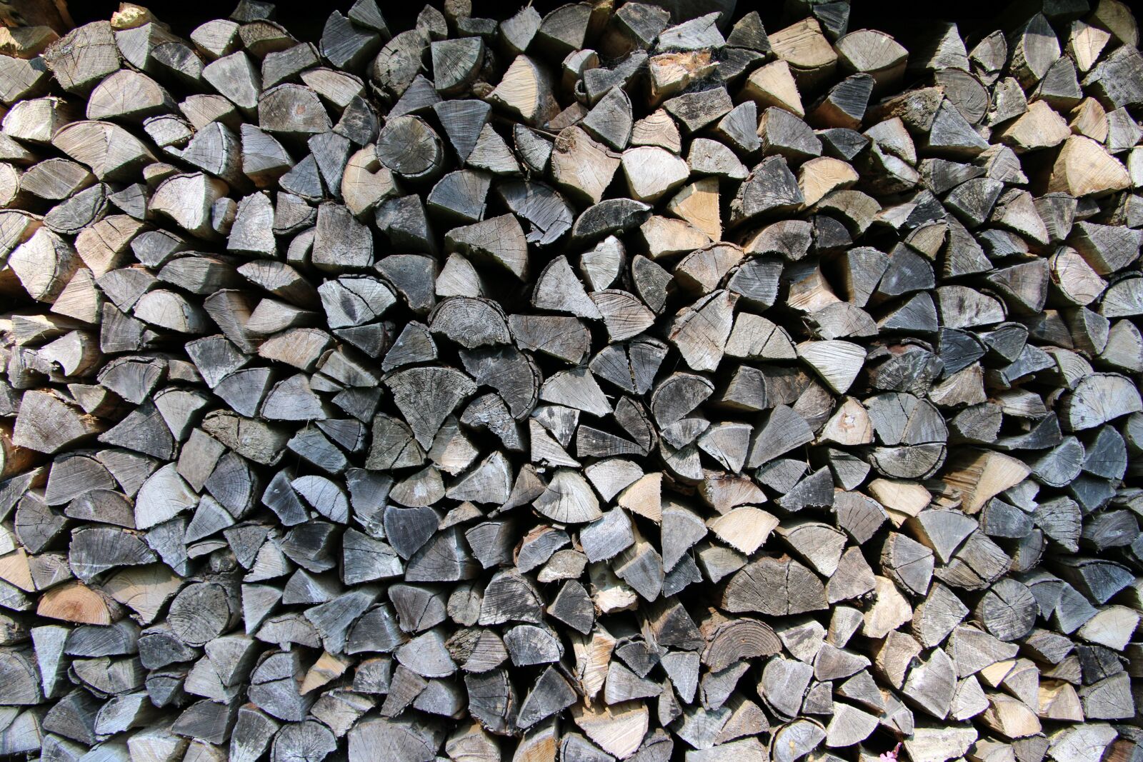 Canon EOS 70D sample photo. Wood, heat, growing stock photography