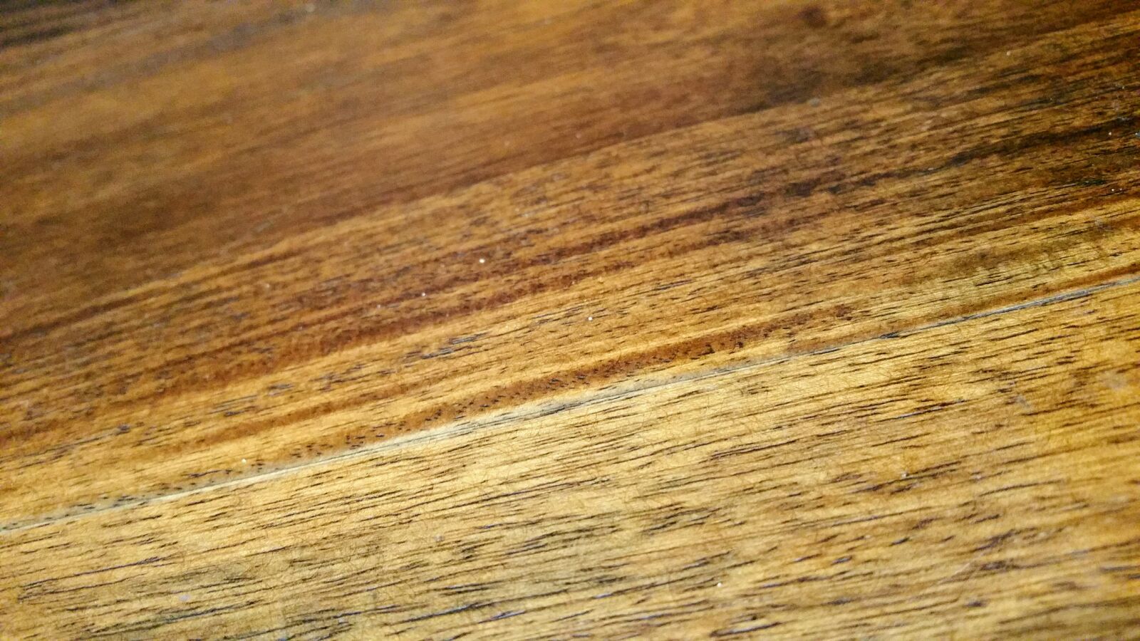 Samsung Galaxy Note4 sample photo. Close, up, hardwood, macro photography