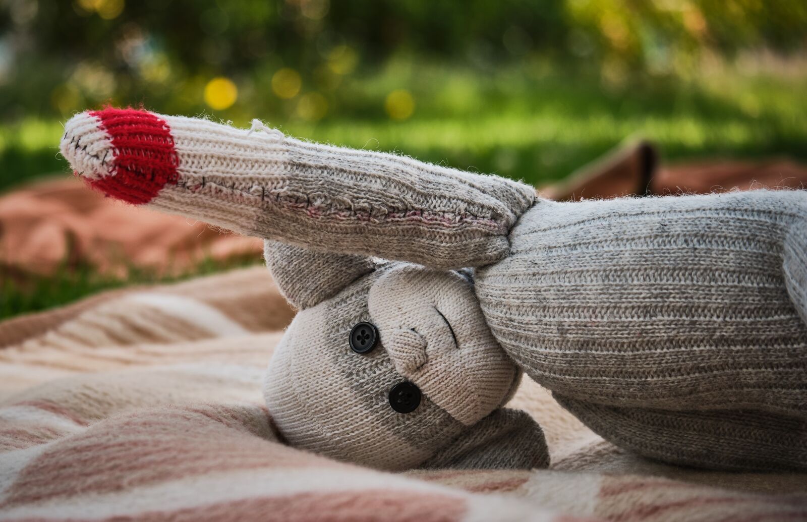Fujifilm X-T3 sample photo. Sock monkey, teddy bear photography