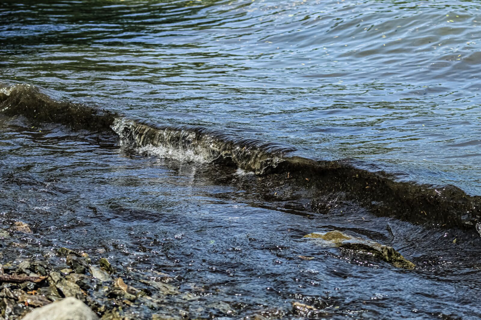 Canon EOS 4000D (EOS Rebel T100 / EOS 3000D) sample photo. Lakes, water, lake icaria photography