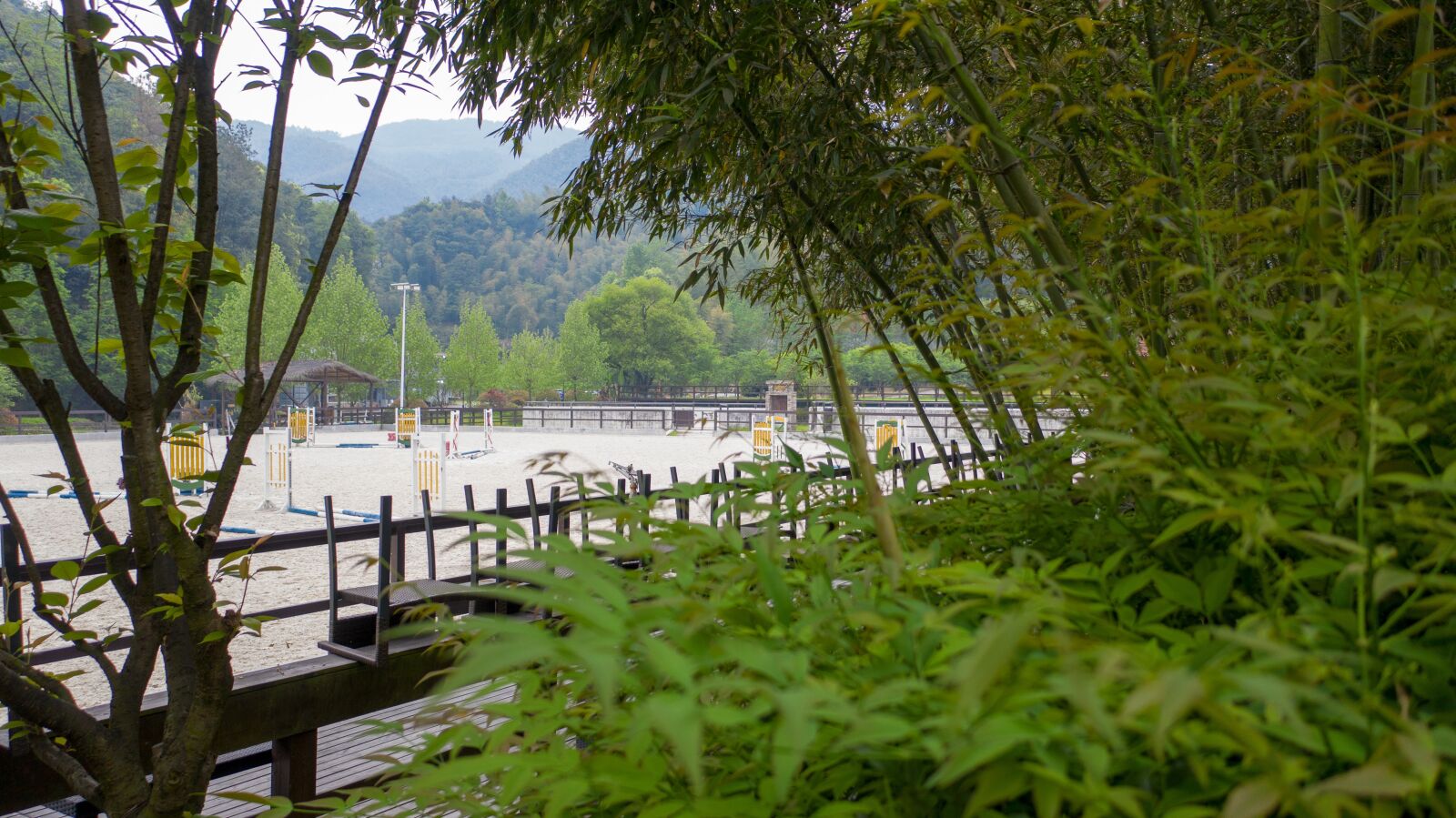 Hasselblad L1D-20c sample photo. Racecourse, dongbai lake, zhuji photography