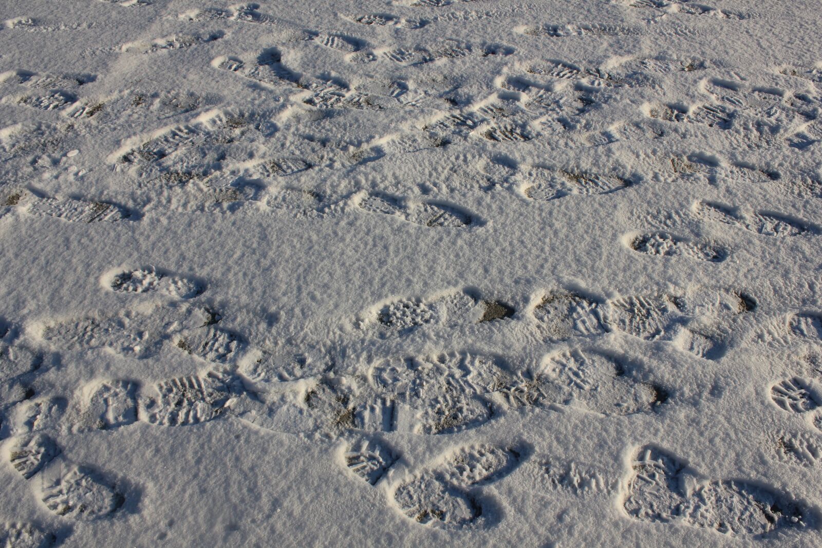 Canon EOS 550D (EOS Rebel T2i / EOS Kiss X4) sample photo. Tracks, track, print photography
