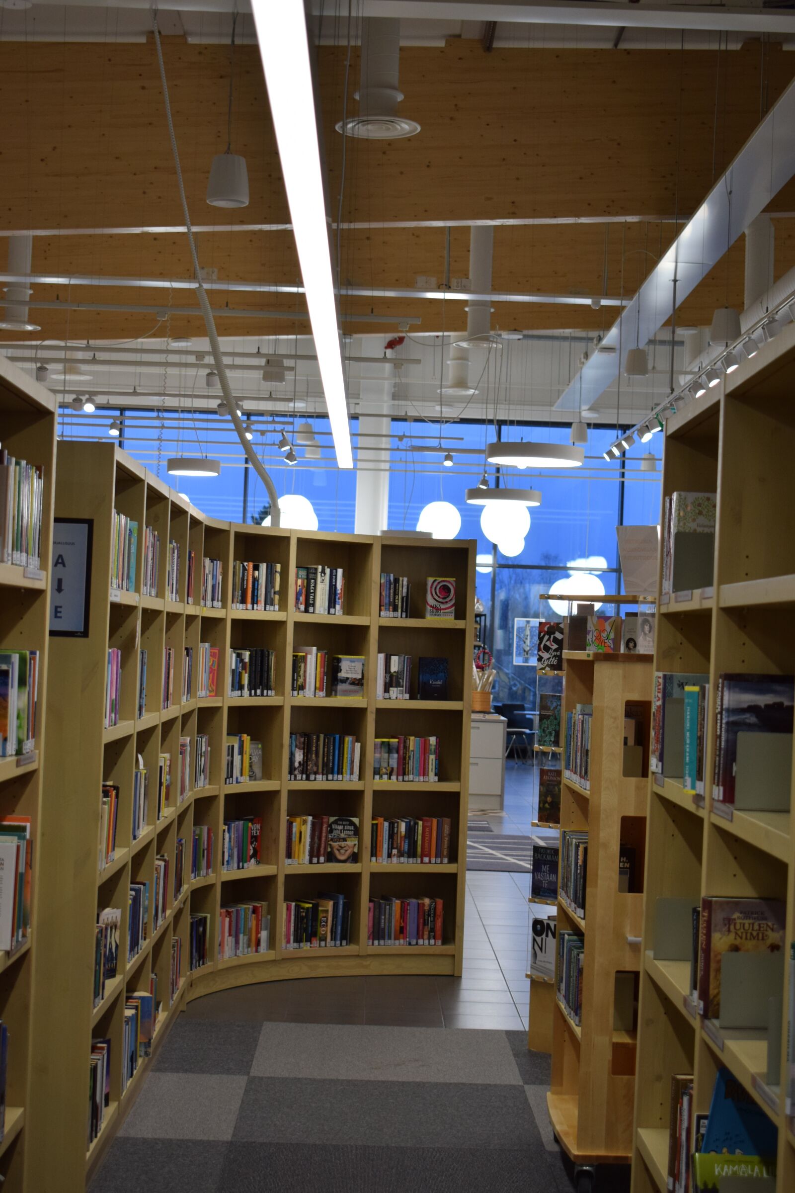 Nikon D3300 sample photo. Library, shelf, books photography