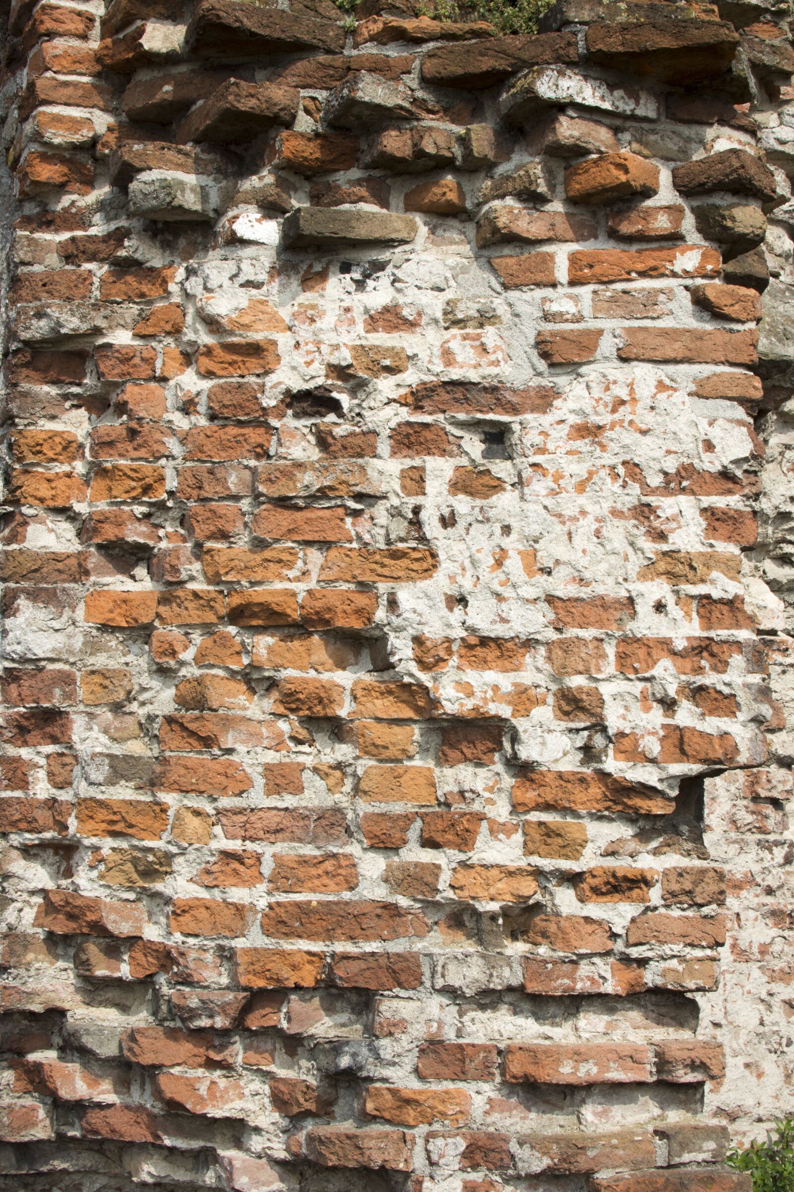 Nikon D7200 sample photo. City, wall, brickwork photography