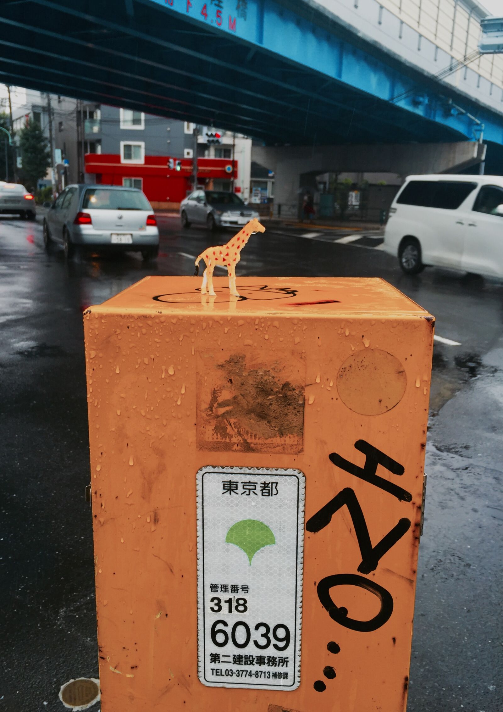 Apple iPhone 6 sample photo. Giraffe, gloomy, littlecutething, rain photography
