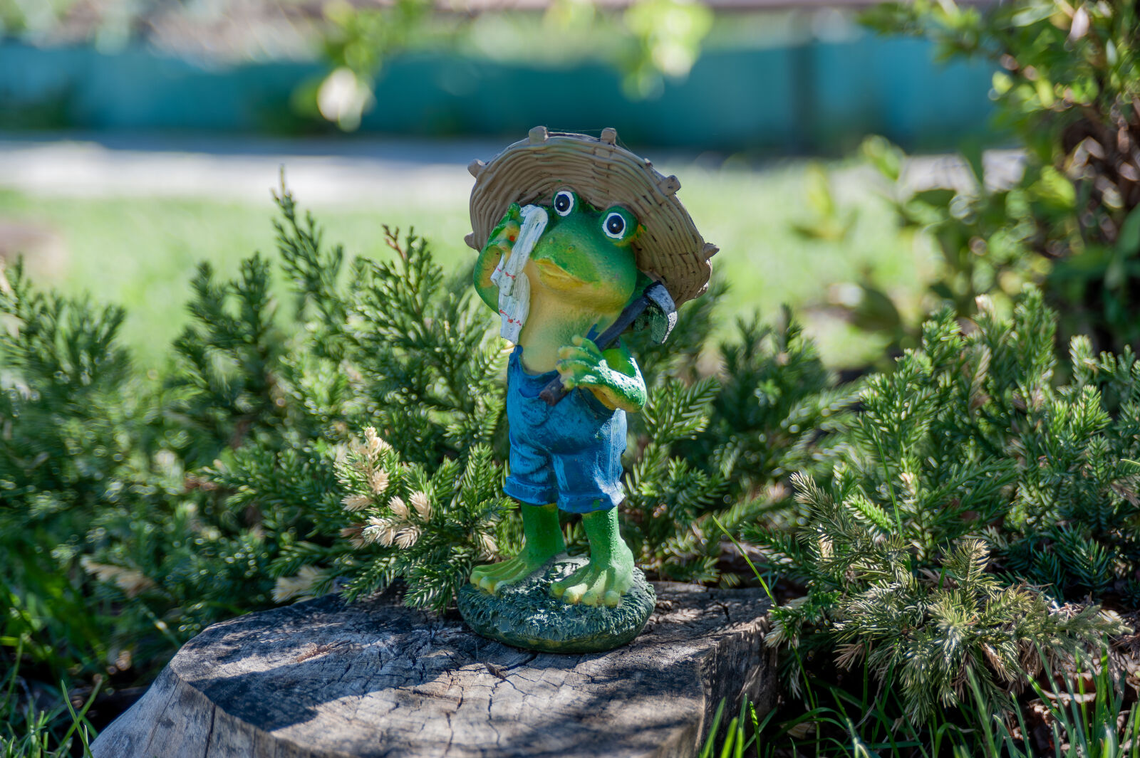 Nikon D700 sample photo