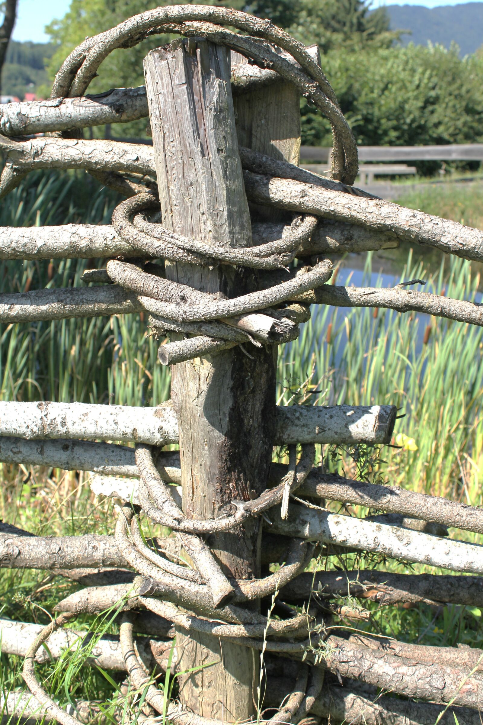 Canon EOS 550D (EOS Rebel T2i / EOS Kiss X4) sample photo. Fence, post, hand labor photography