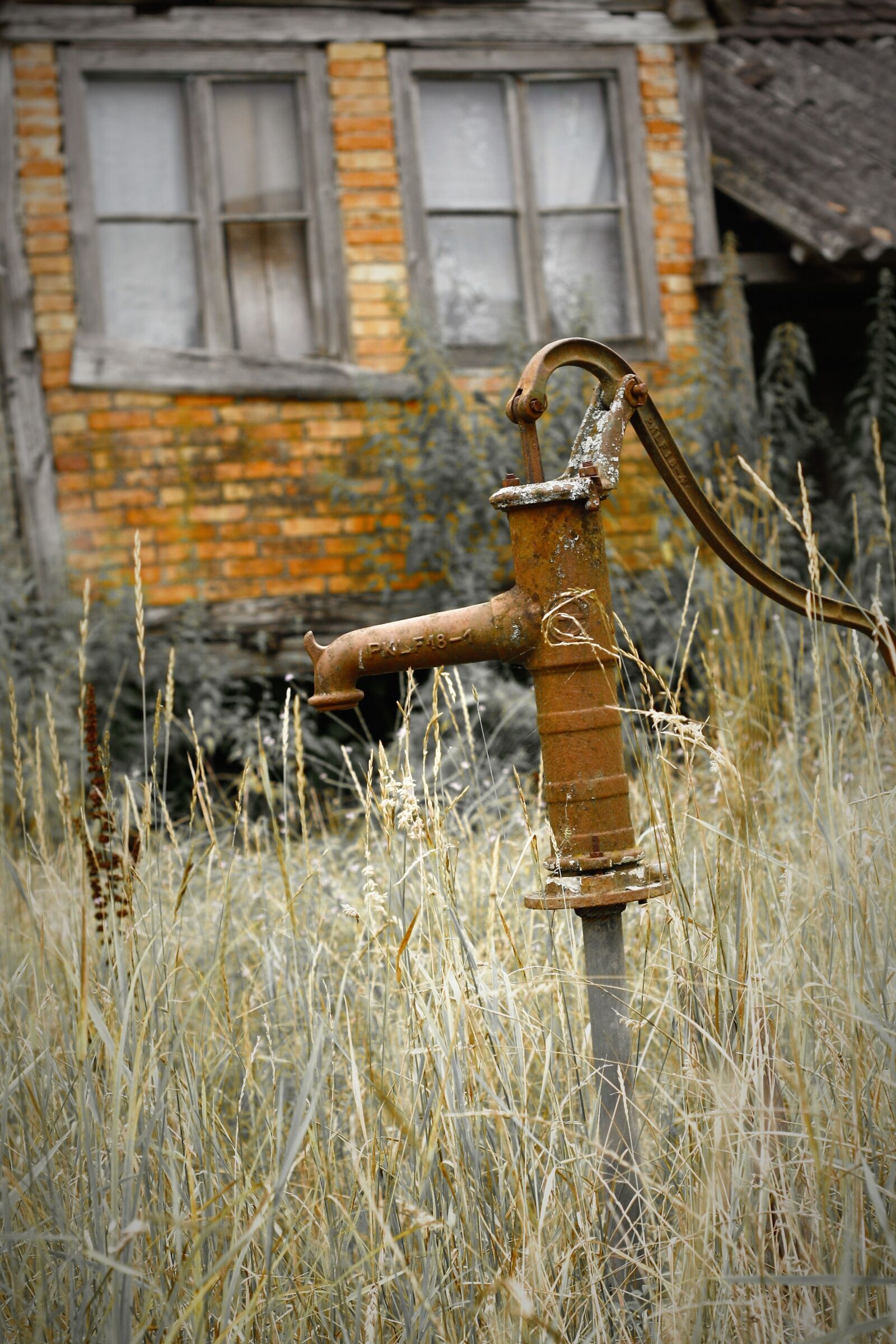 Canon EOS 40D sample photo. Pipe, water, rusty photography
