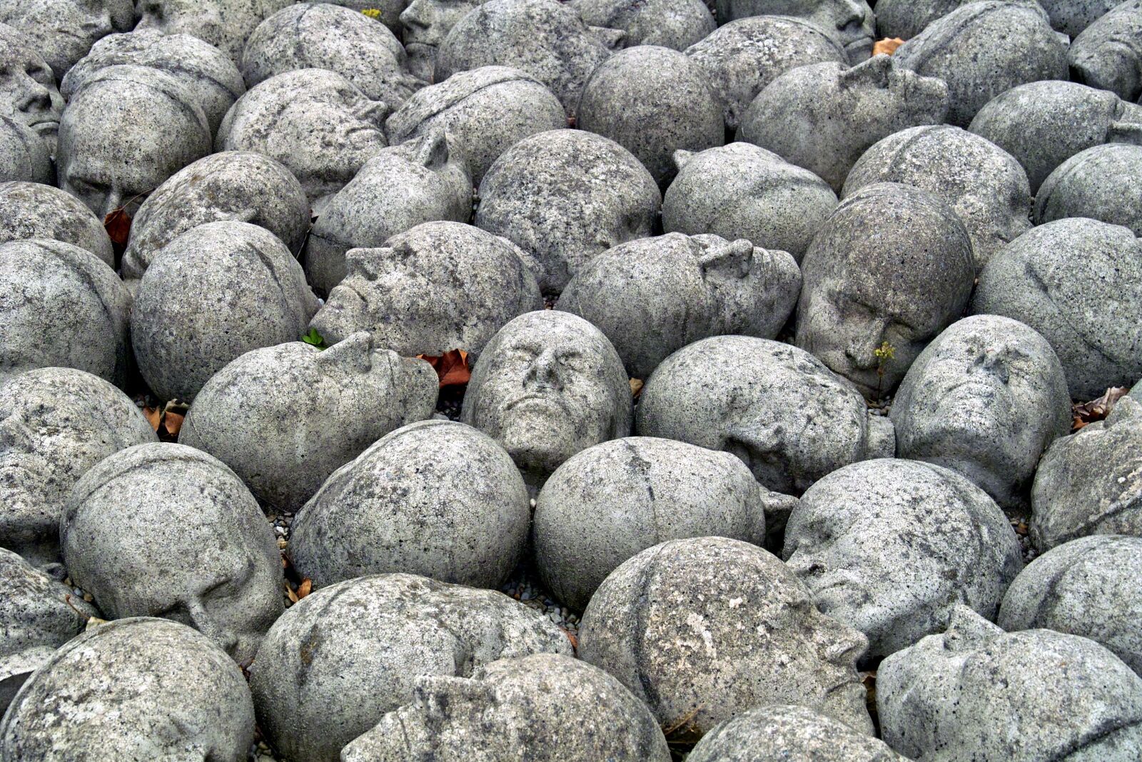 Sigma SD14 sample photo. Stones, heads, sculpture photography