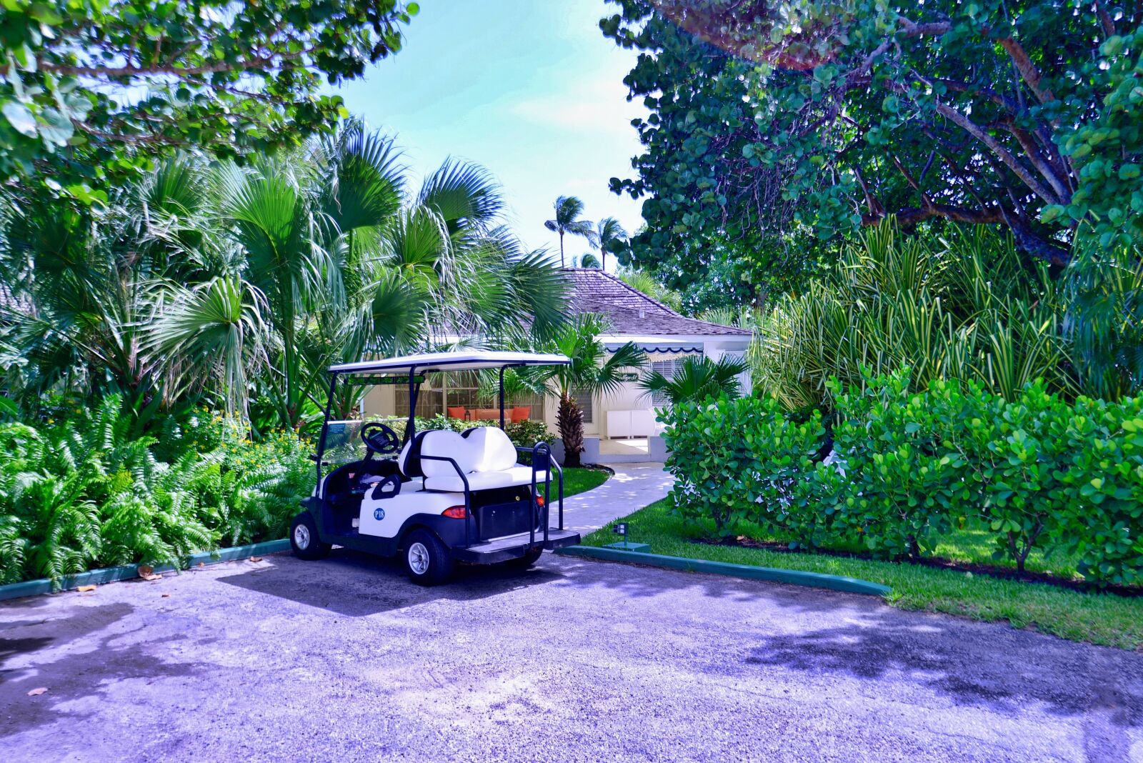 Nikon D800 sample photo. Golf, golf kart, tree photography
