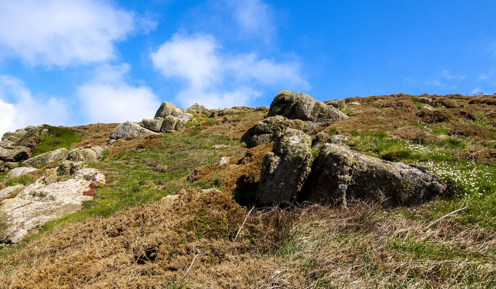 Olympus E-520 (EVOLT E-520) + OLYMPUS 11-22mm Lens sample photo. Landscape, nature, cornwall photography