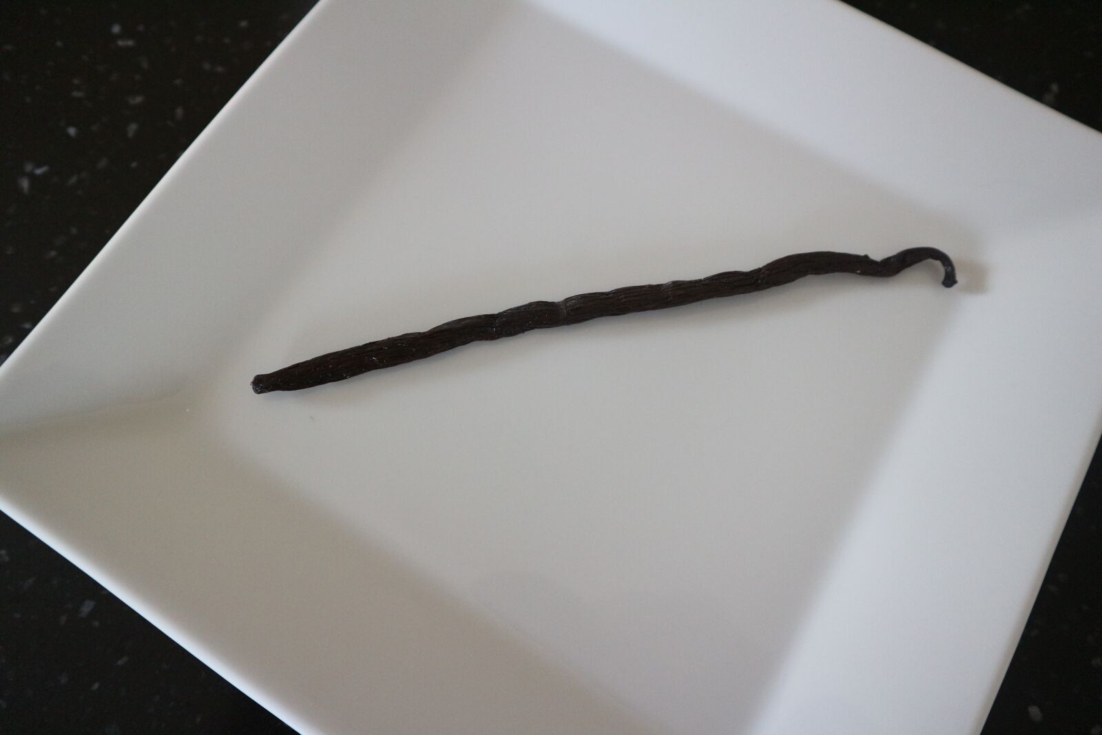 Canon EOS M10 sample photo. Vanilla, vanilla pod, benefit photography