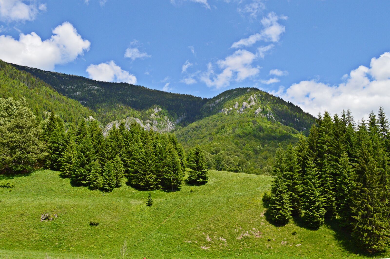 Nikon D3200 sample photo. Mountain, romania, woods photography
