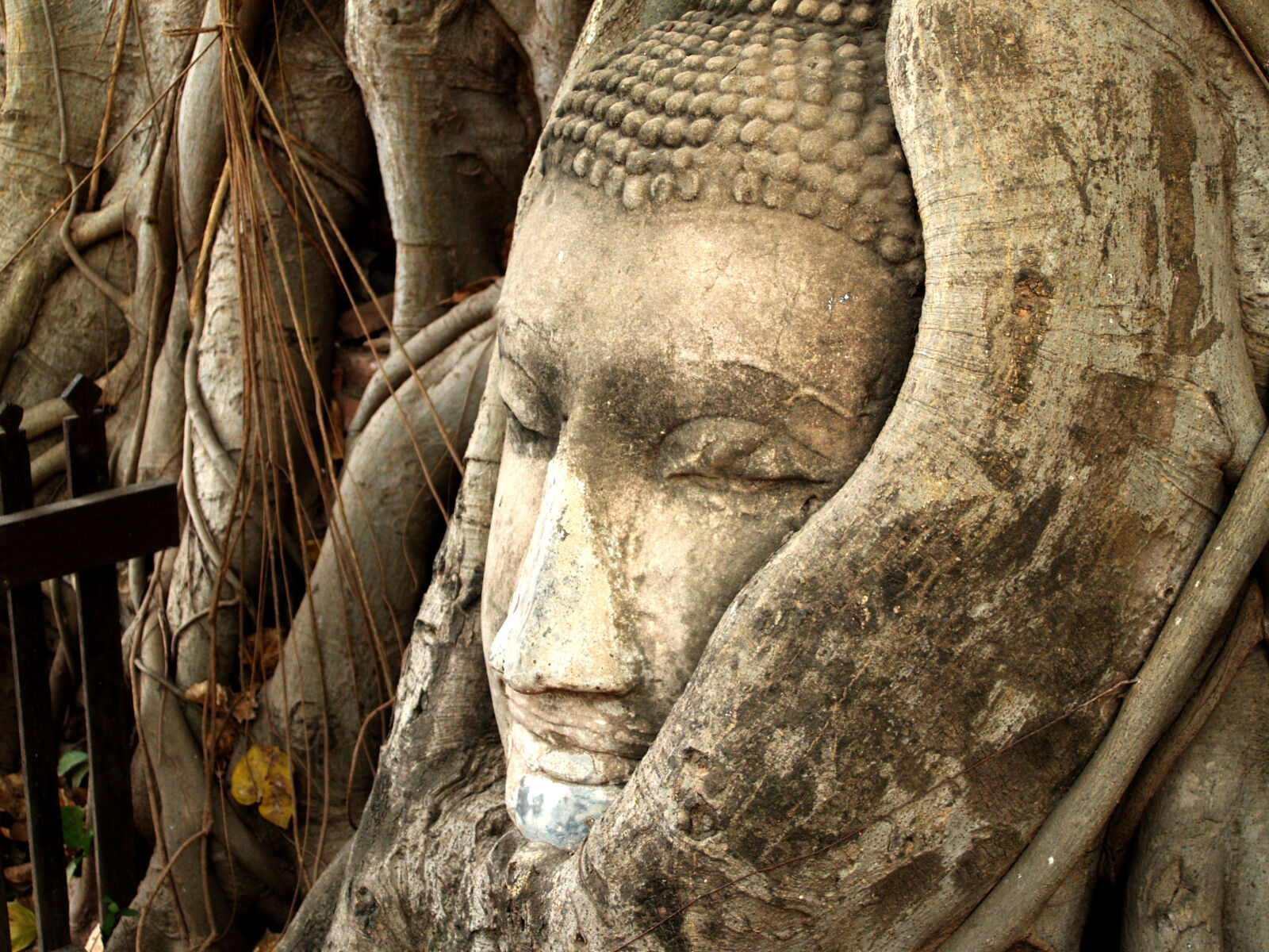 Olympus E-300 (EVOLT E-300) sample photo. Ancient, art, asian, buddha photography