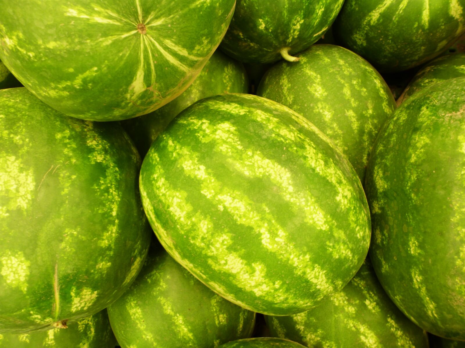 Panasonic Lumix DMC-ZS8 (Lumix DMC-TZ18) sample photo. Fruit, green, watermelon photography