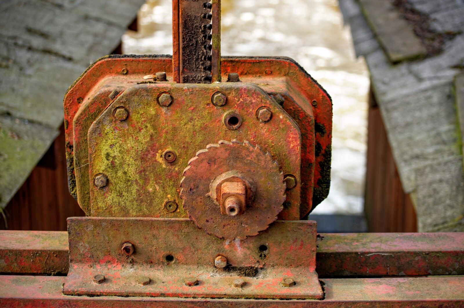 Nikon D3200 sample photo