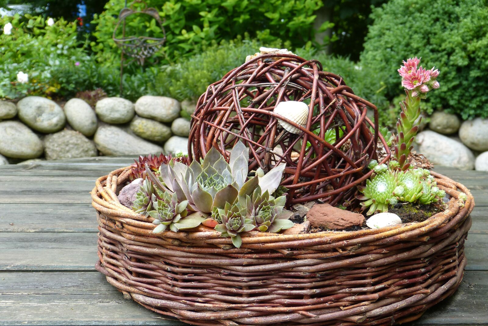 Panasonic Lumix DMC-FZ150 sample photo. Garden, deco, shell photography