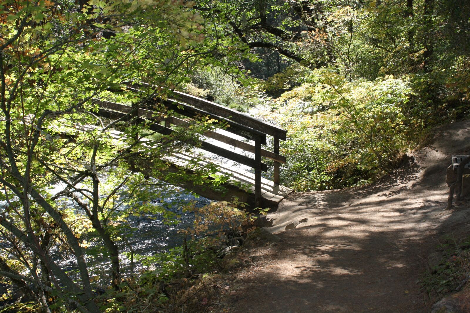 Canon EOS 1000D (EOS Digital Rebel XS / EOS Kiss F) sample photo. Bridge, trail, forest photography