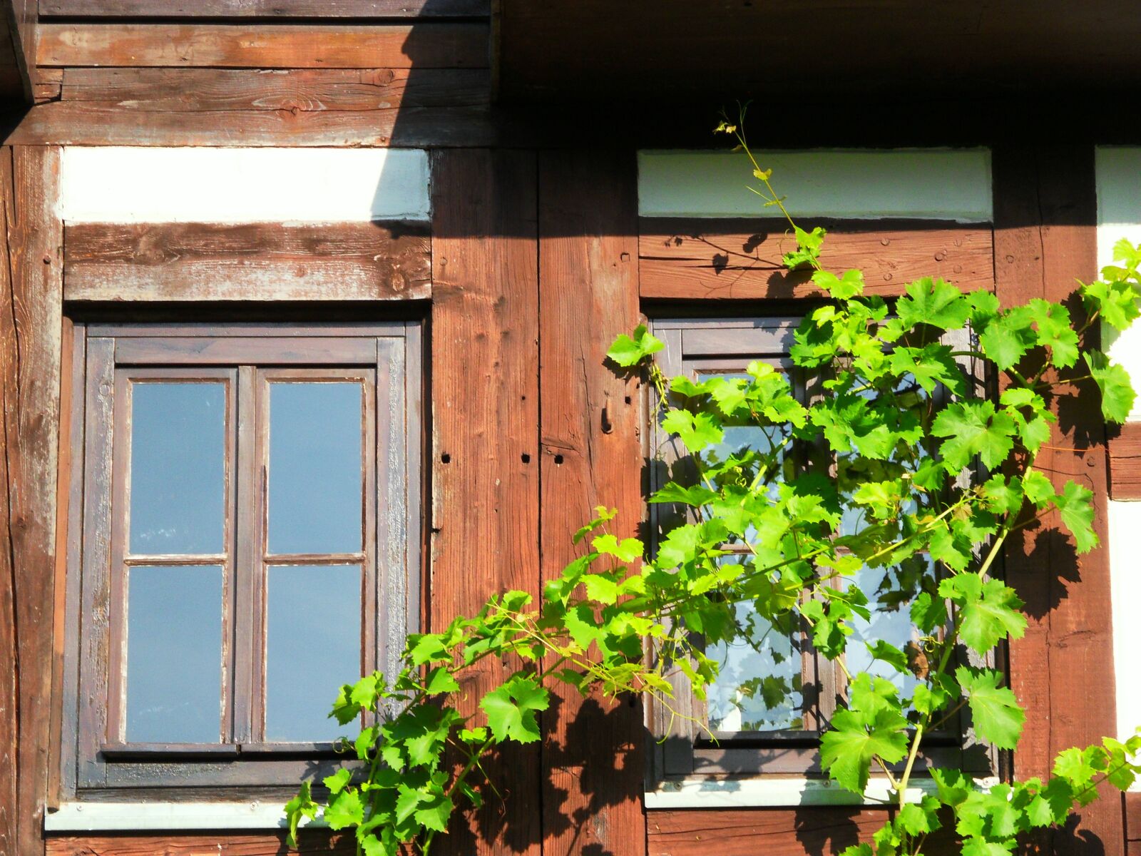 Samsung WB500, WB510 / VLUU WB500 /  HZ10W sample photo. Window, sun, building photography