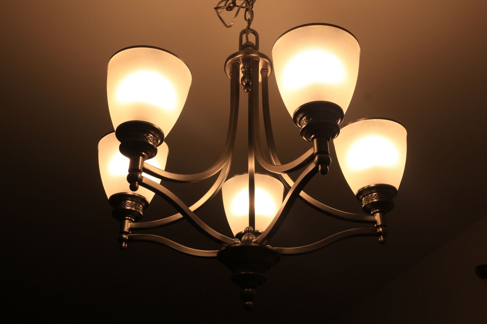 Canon EOS 650D (EOS Rebel T4i / EOS Kiss X6i) sample photo. Lights, hanging, electricity photography