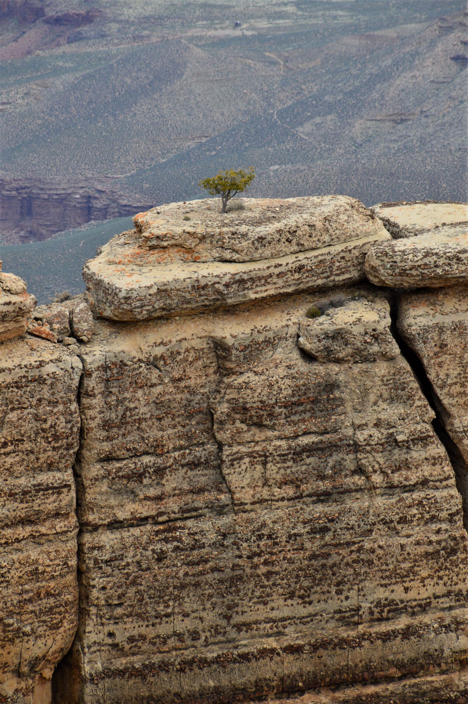 Nikon D3200 sample photo. Grand canyon, rocks, nature photography
