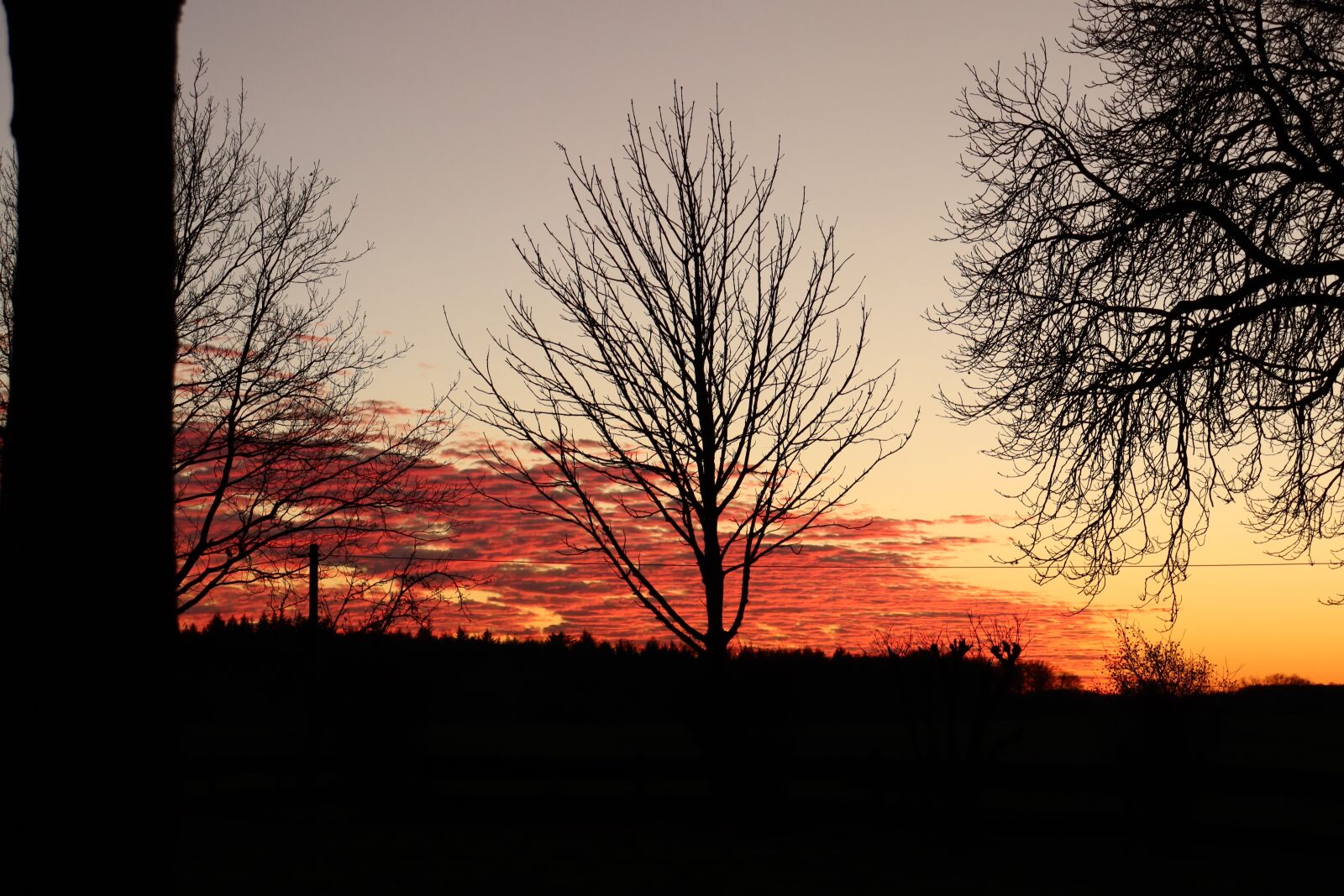 Canon EOS 250D (EOS Rebel SL3 / EOS Kiss X10 / EOS 200D II) sample photo. Sunset, trees, sky photography
