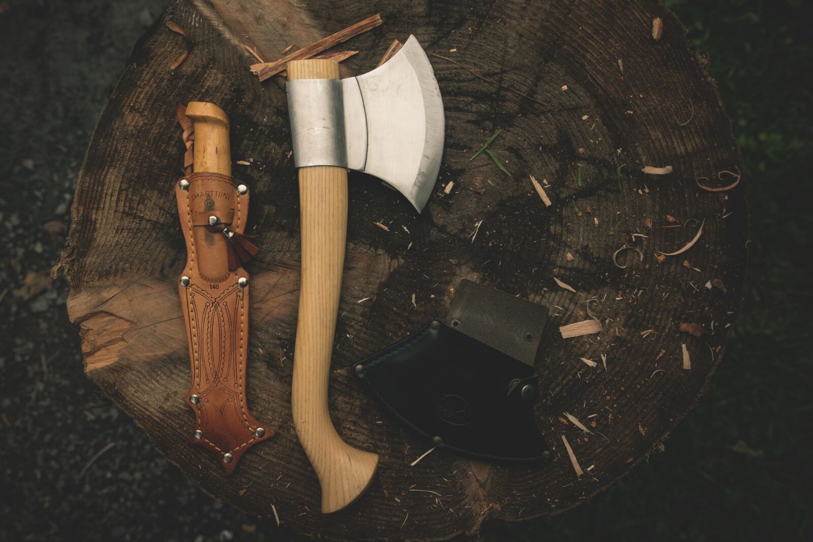 Nikon D5300 sample photo. Axe, ax, log photography