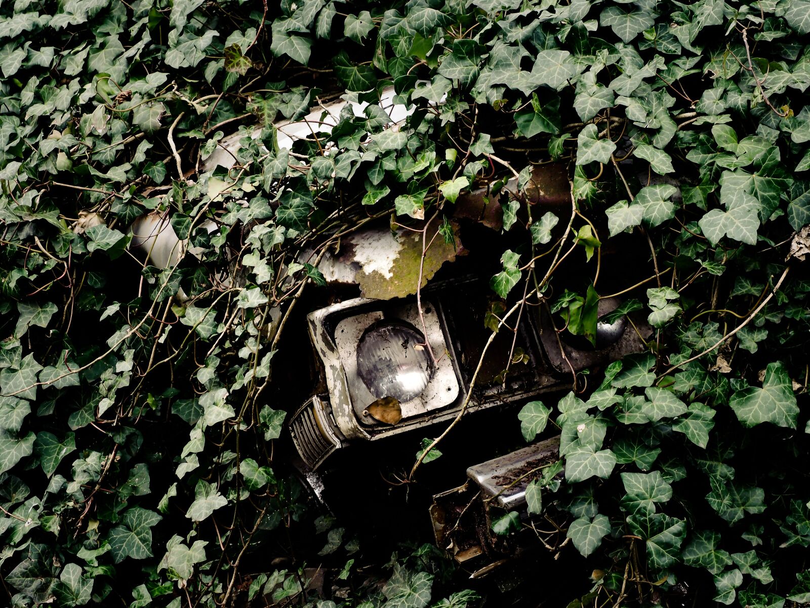 Olympus OM-D E-M10 sample photo. Auto, wreck, scrap photography