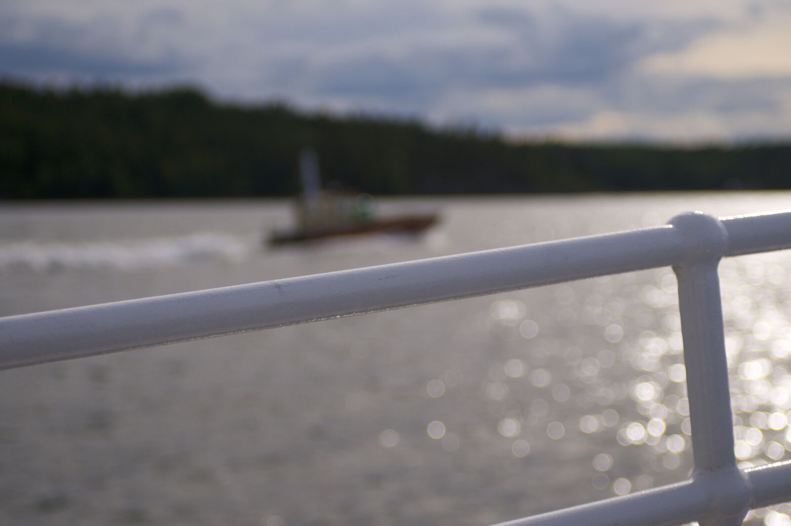 Nikon D300 sample photo. Evening, sun, ship, sweden photography